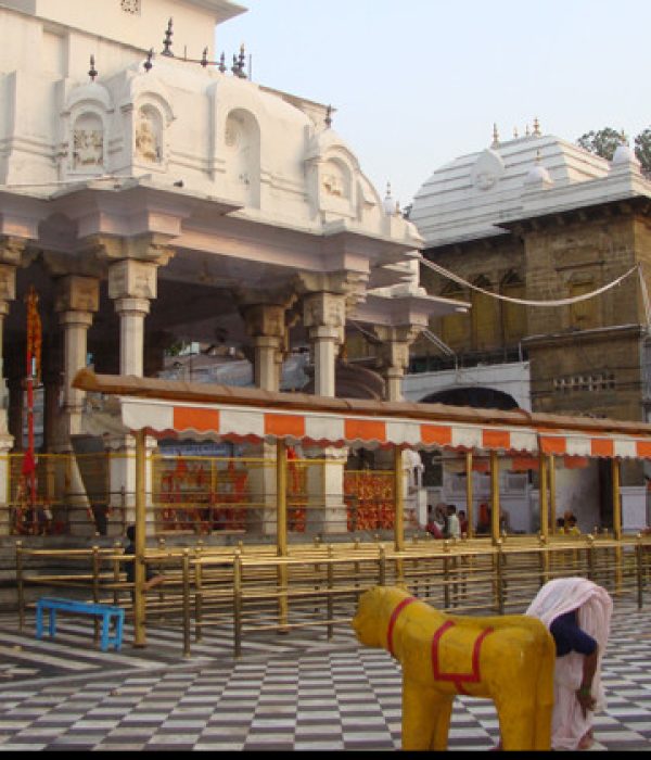 Brijeshwari-Devi-temple-e1388643797217