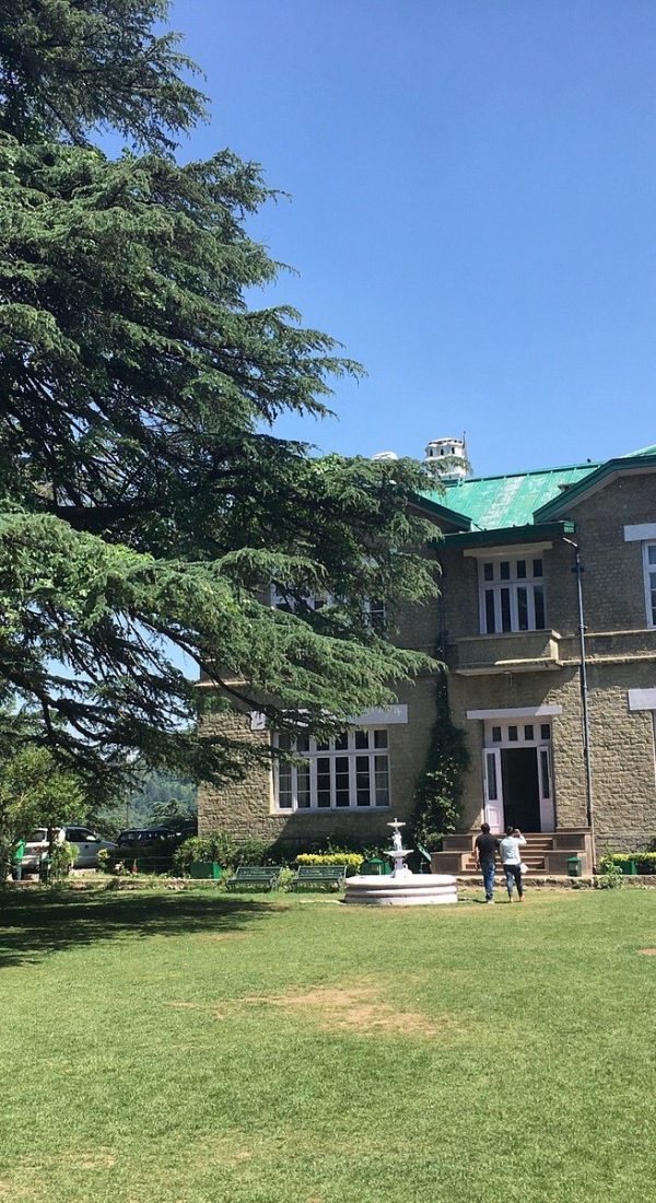 The Palace Hotel Chail